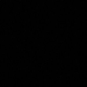 Meet your Posher, Eva